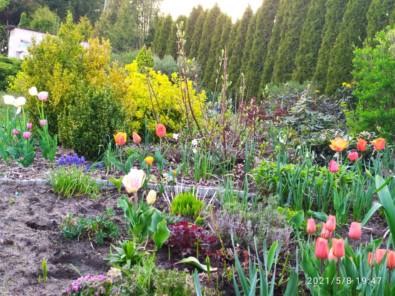 Działka rolno-budowlana Bolimowska Wieś. Zdjęcie 4