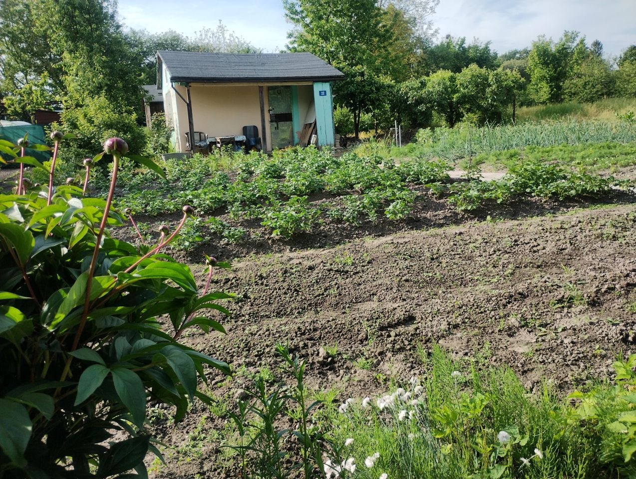 Działka rod Zamość Zamczysko, ul. Żdanowska. Zdjęcie 2