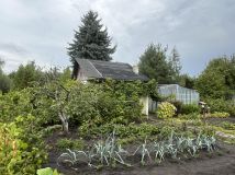 Działka rod Wrocław Krzyki, ul. Konduktorska. Zdjęcie 3