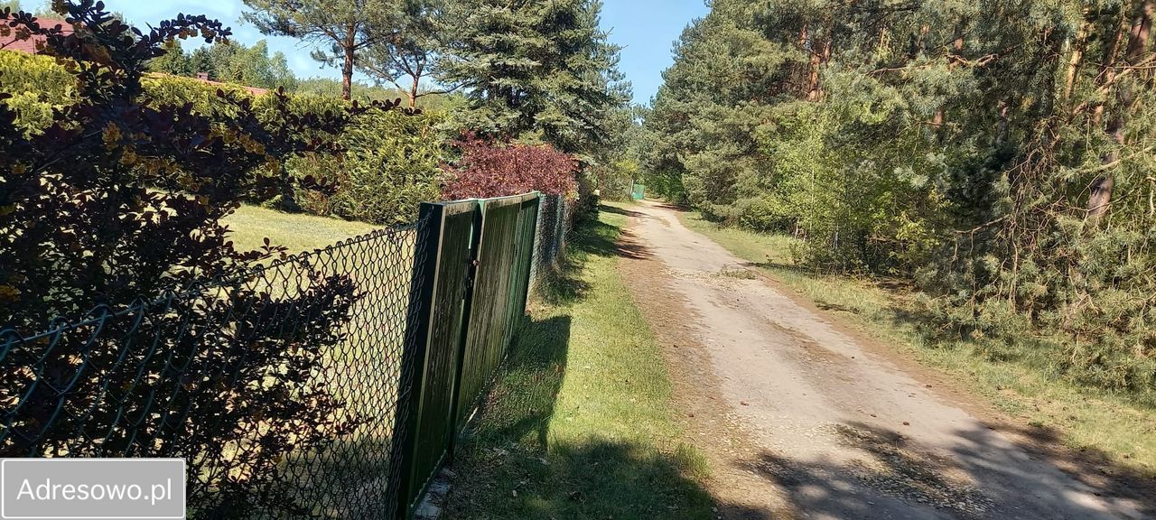 Działka budowlana Potępa Odmuchów, ul. Leśna. Zdjęcie 5