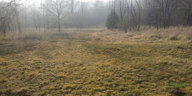 Działka inna Rybnik Niedobczyce, ul. Bolesława Śmiałego. Zdjęcie 5