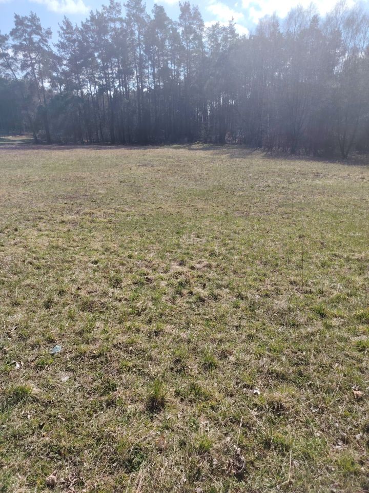 Działka rolno-budowlana Godzimierz. Zdjęcie 2