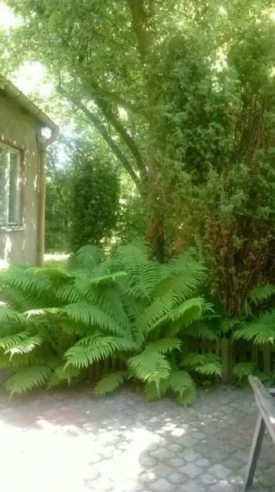 Działka budowlana Rawa Mazowiecka. Zdjęcie 5