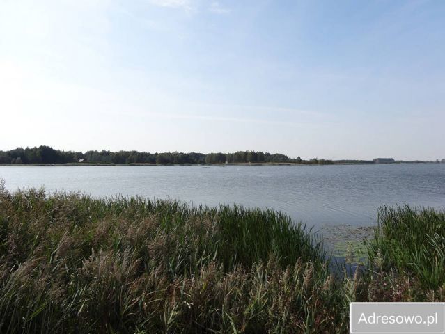 Działka rekreacyjna Majdan Zahorodyński. Zdjęcie 1