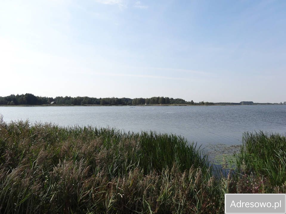 Działka rekreacyjna Majdan Zahorodyński. Zdjęcie 1