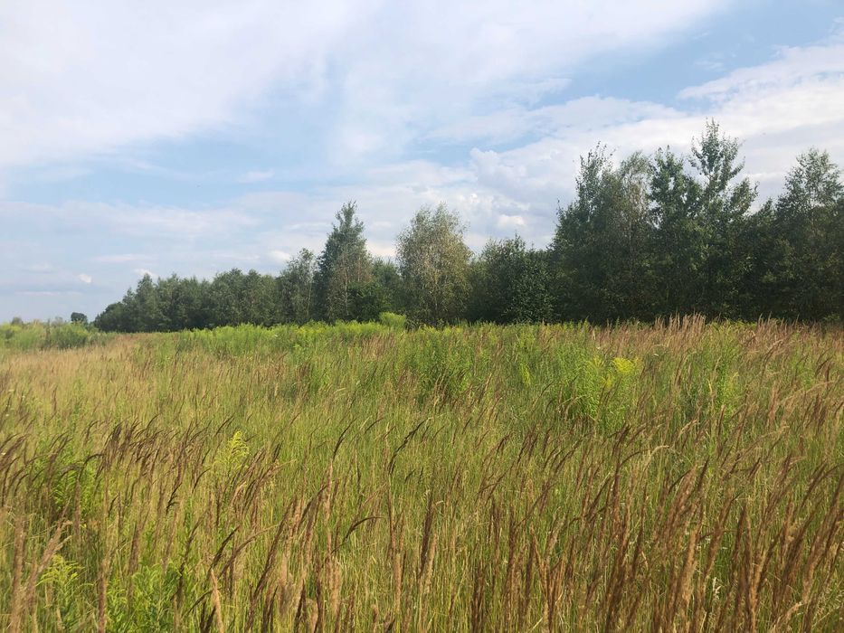 Działka budowlana Skierniewice, ul. Kasztanowa