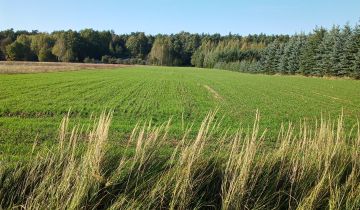 Działka rolno-budowlana Dębno Siedliszki