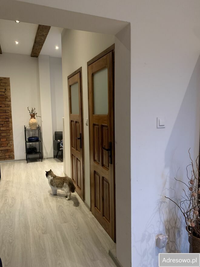 siedlisko, 5 pokoi Troszki. Zdjęcie 5