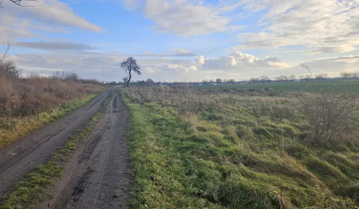 Działka rolna Snowidza, Snowidza