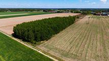 Działka rolno-budowlana Głupianka. Zdjęcie 2