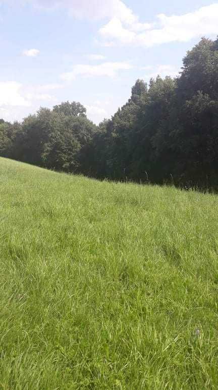 Działka Świątniki Górne. Zdjęcie 3