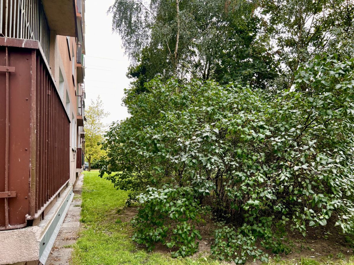 Mieszkanie 2-pokojowe Łódź Widzew, ul. Władysława Szafera. Zdjęcie 7