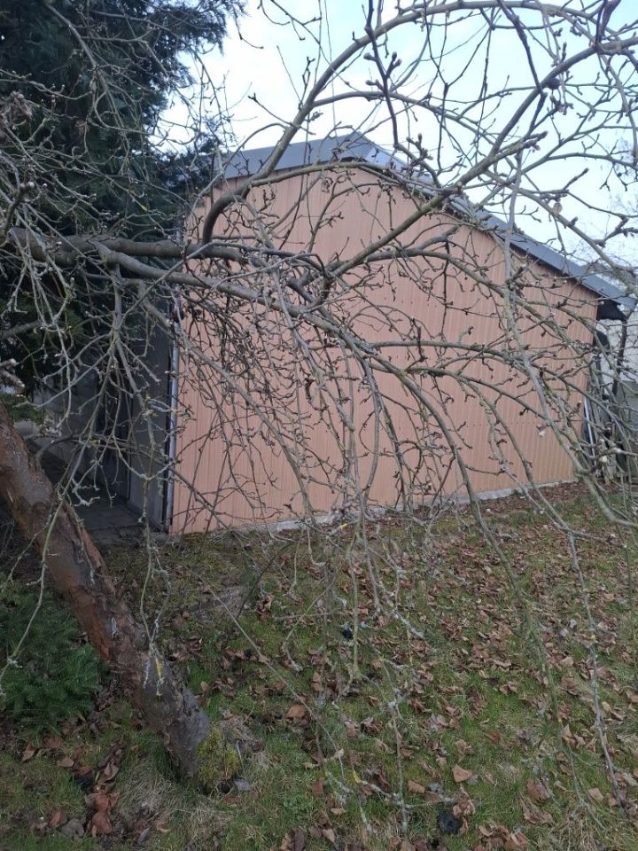 Działka rod Bełchatów. Zdjęcie 5