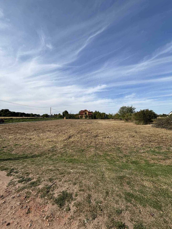 Działka budowlana Płock, ul. Sosnowa. Zdjęcie 4