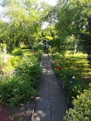 Działka rod Gliwice, ul. Andrzeja Mielęckiego. Zdjęcie 1