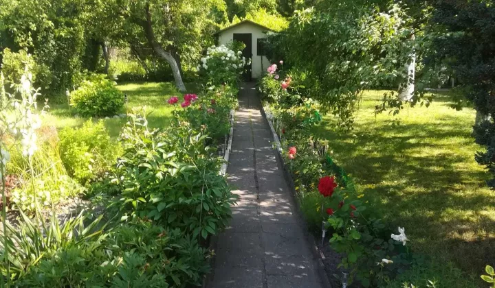 Działka rod Gliwice, ul. Andrzeja Mielęckiego