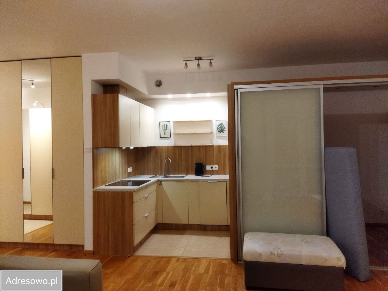 Mieszkanie 1-pokojowe Łódź Polesie, ul. Pienista