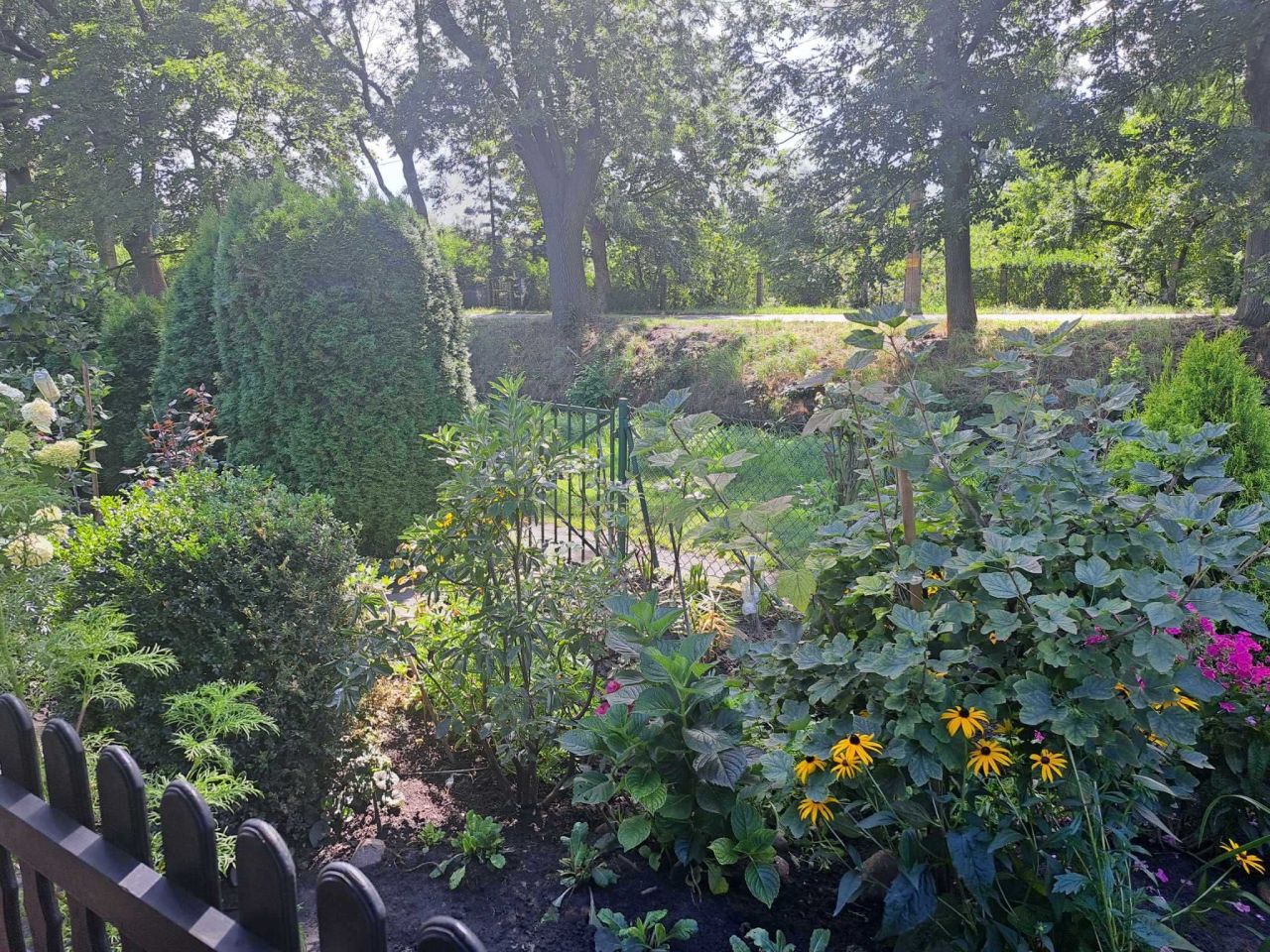 Działka rod Kluczbork, al. Pokoju. Zdjęcie 2