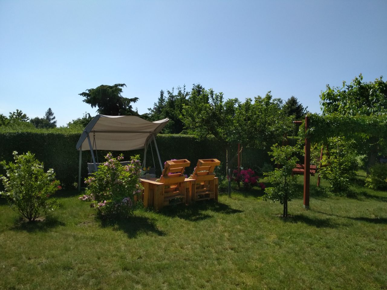 Działka rod Osiek. Zdjęcie 8