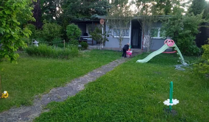 Działka rod Ostrów Wielkopolski, ul. Kaliska