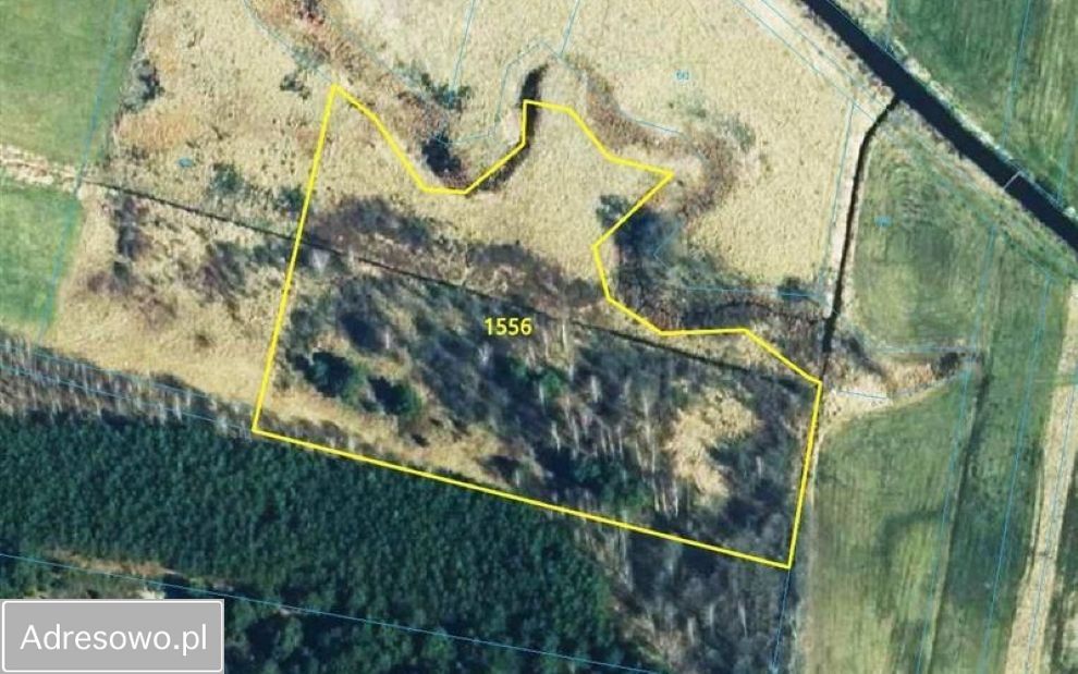 Działka rolna Złotniki. Zdjęcie 3