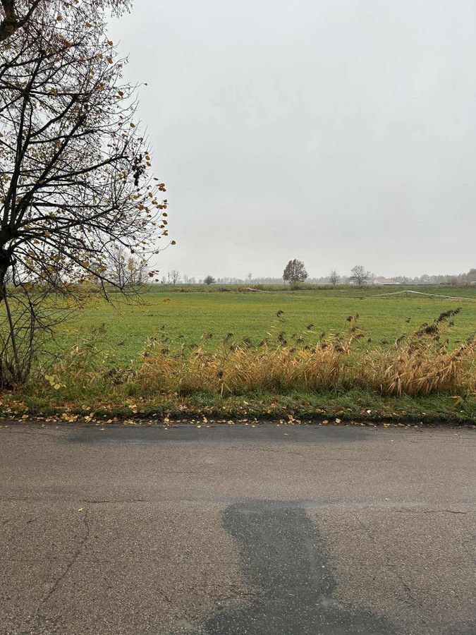 Działka rolno-budowlana Gronowo Elbląskie, ul. Elbląska. Zdjęcie 2
