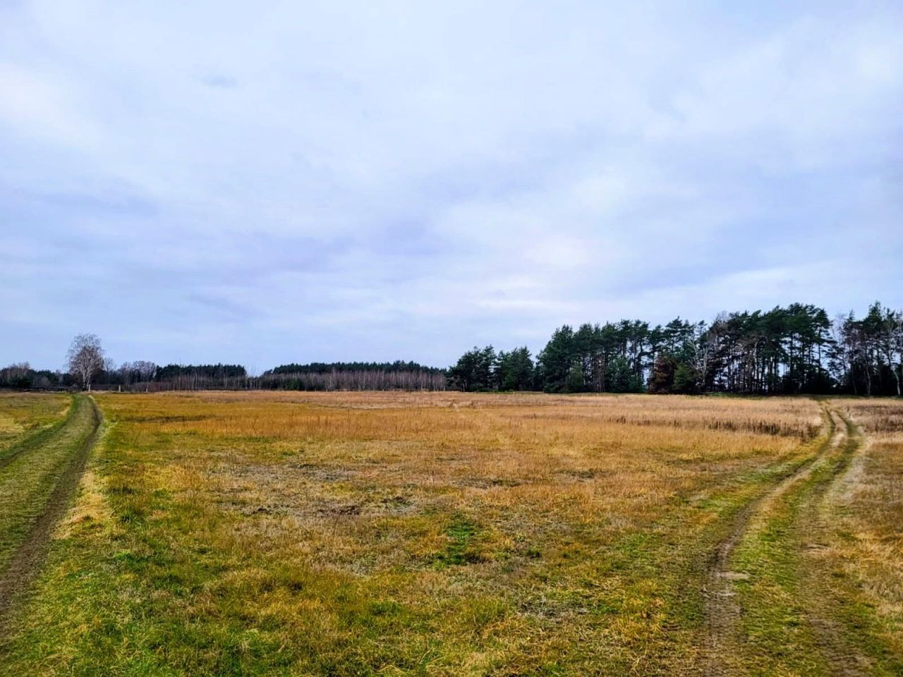 Działka rolna Sobienie Biskupie. Zdjęcie 8