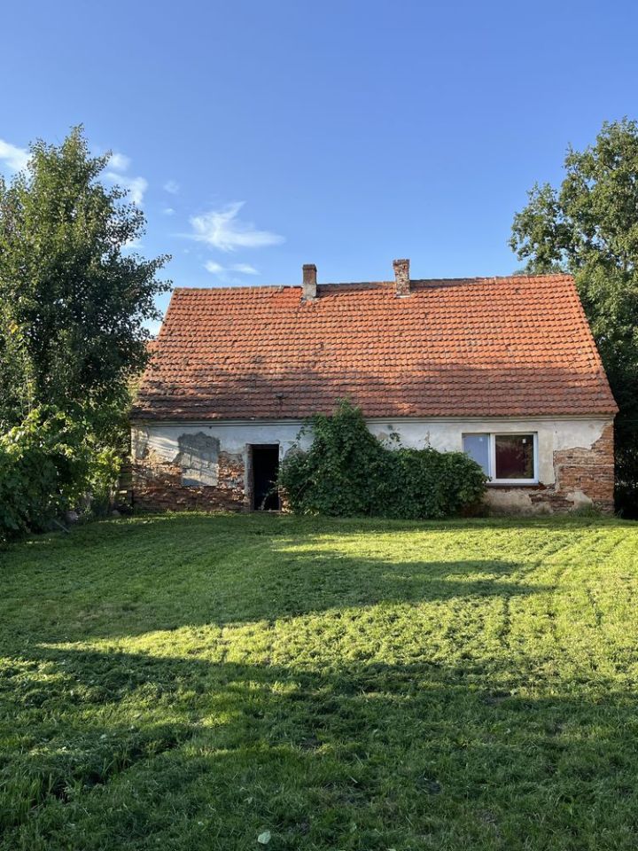 gospodarstwo Jezierzyce Wielkie. Zdjęcie 1