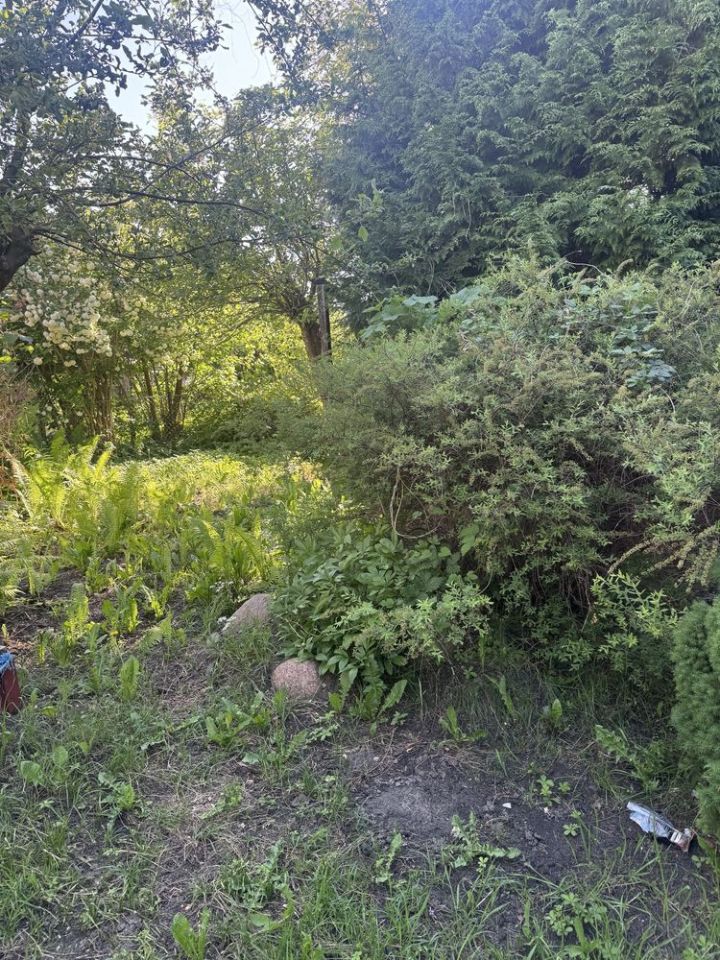 Działka rod Bydgoszcz, ul. Toruńska. Zdjęcie 3