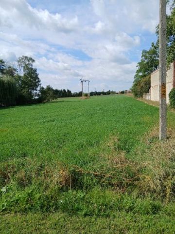 Działka rolno-budowlana Wierzchlas, ul. Wiśniowa. Zdjęcie 4