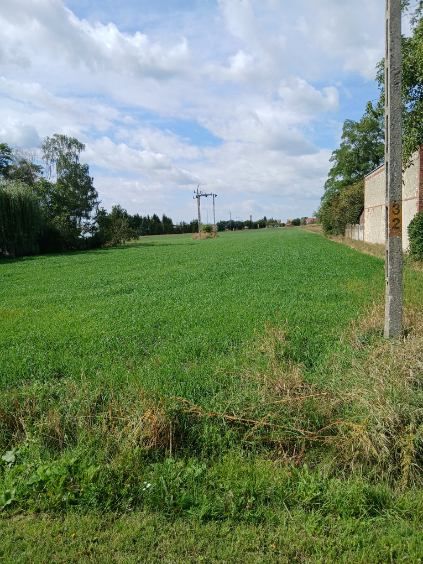 Działka rolno-budowlana Wierzchlas, ul. Wiśniowa. Zdjęcie 4