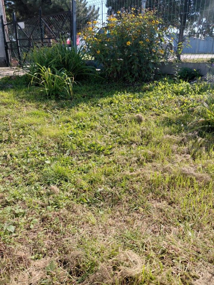 Działka budowlana Poznań. Zdjęcie 3