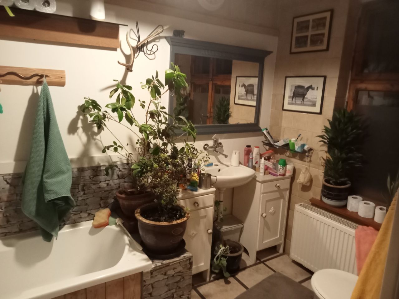 siedlisko, 3 pokoje Wojtal, ul. Leśna. Zdjęcie 10
