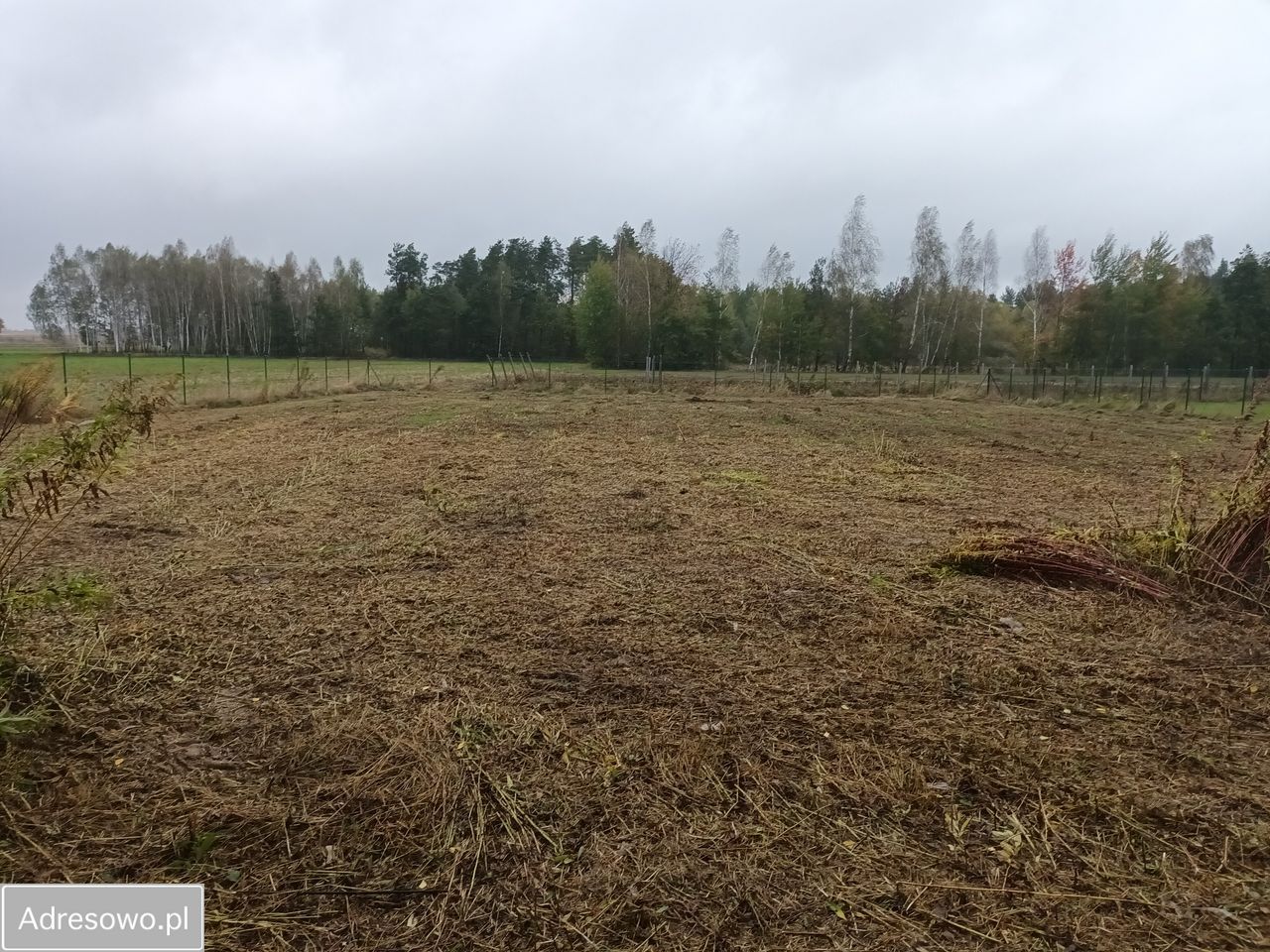 Działka budowlana Borzechów-Kolonia. Zdjęcie 9