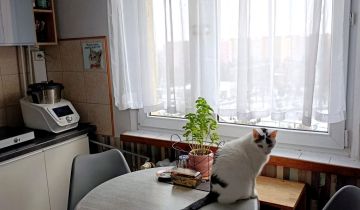 Mieszkanie 3-pokojowe Kraków Prokocim, ul. Lilli Wenedy