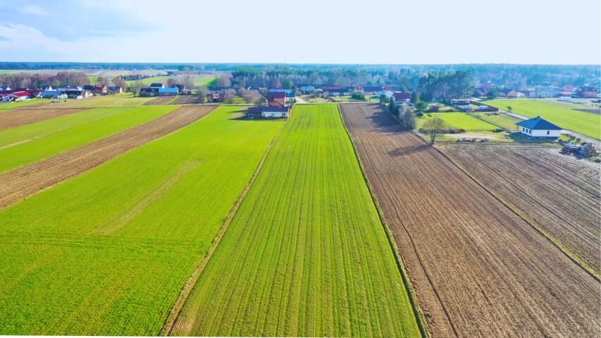 Działka budowlana Stare Modzele. Zdjęcie 12