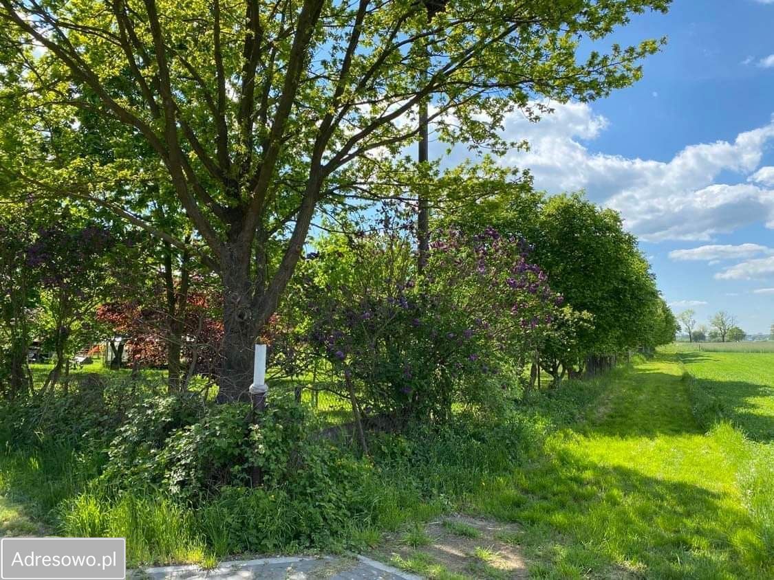 Działka budowlana Huta Harych