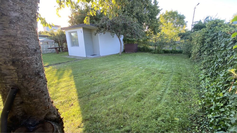 Działka rod Gdańsk Zaspa. Zdjęcie 3