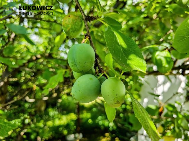 Działka rekreacyjna Bielsko-Biała Hałcnów. Zdjęcie 12