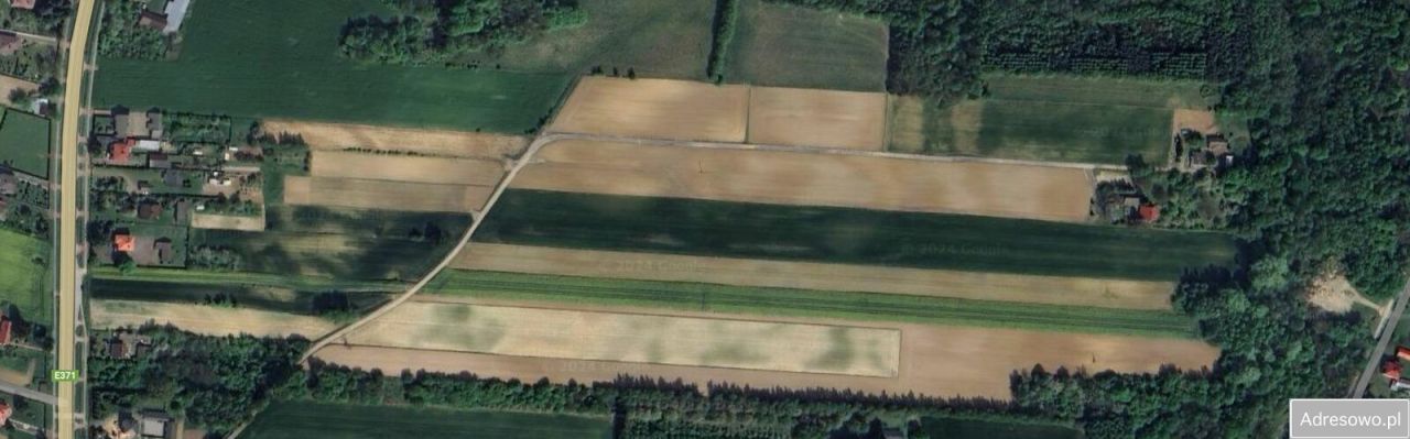 Działka rolna Rzuchów. Zdjęcie 4