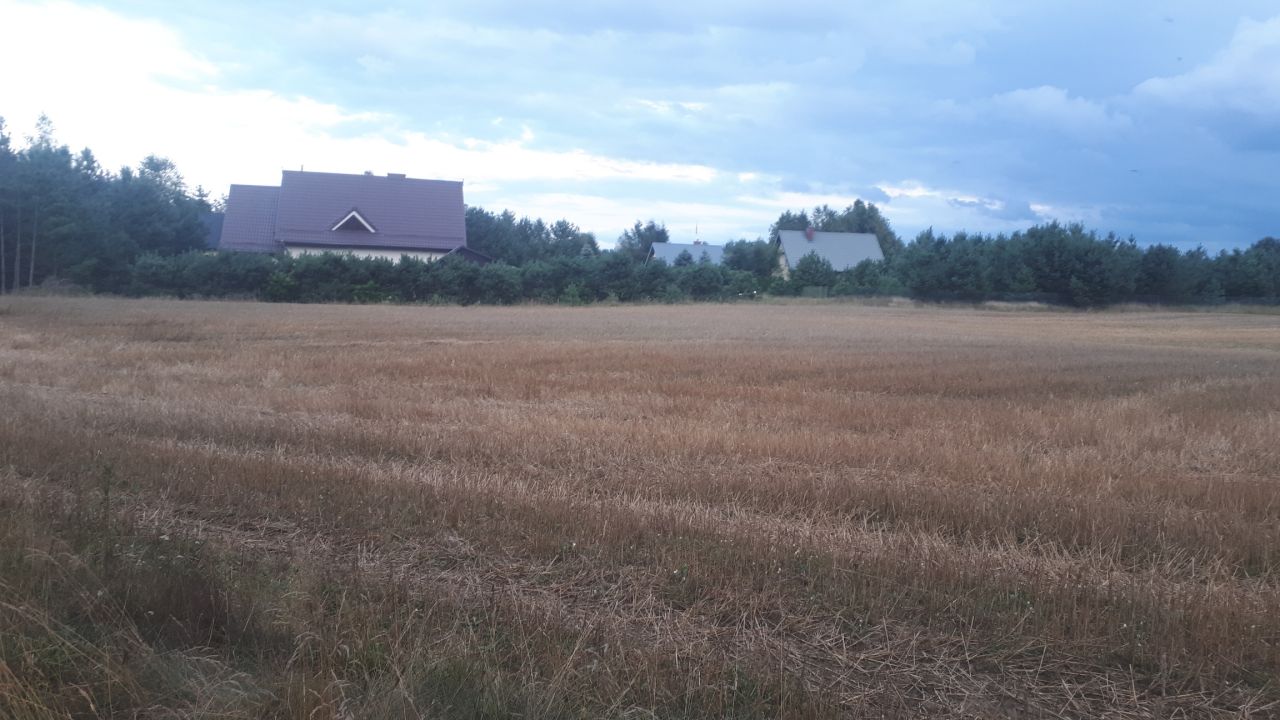 Działka rekreacyjna Niesiołowice. Zdjęcie 3