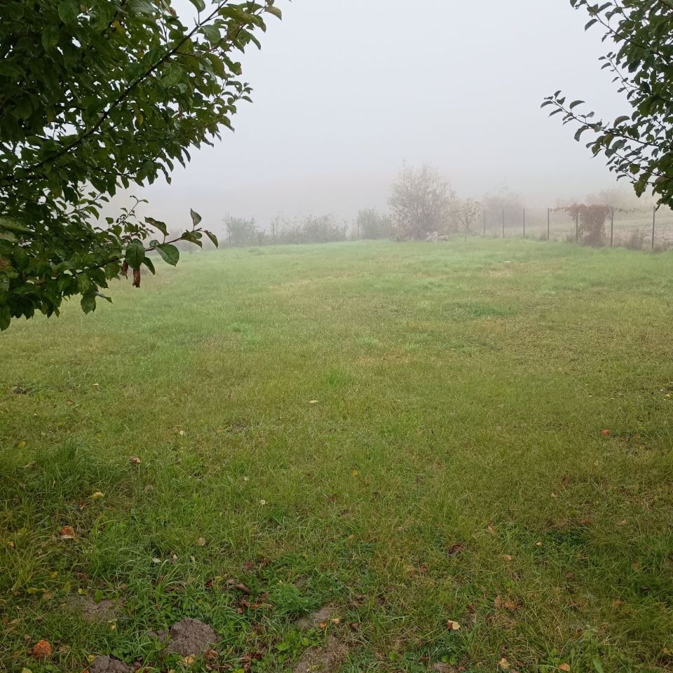 Działka rolno-budowlana Srebrzyszcze. Zdjęcie 5