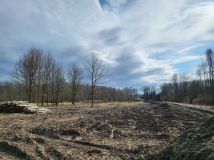 Działka inwestycyjna Pilawa, ul. Aleja Wyzwolenia. Zdjęcie 2