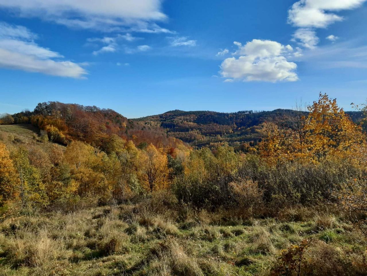 Działka budowlana Rościszów. Zdjęcie 8