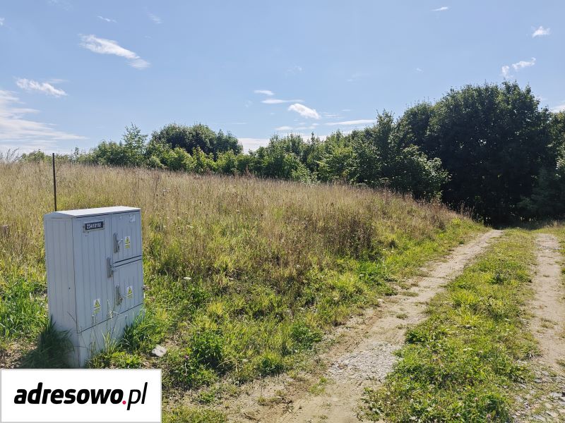 Działka budowlana Głodowo. Zdjęcie 4