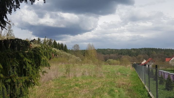 Działka budowlana Borowe. Zdjęcie 3