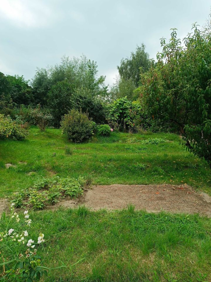 Działka rod Starachowice, ul. Nowowiejska. Zdjęcie 3