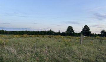 Działka budowlana Maszewo