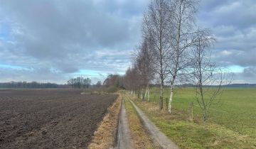 Działka rolno-budowlana Leszczyn