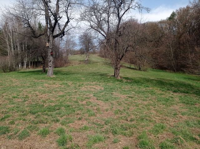 Działka rolno-budowlana Czudec, ul. Strumykowa. Zdjęcie 1